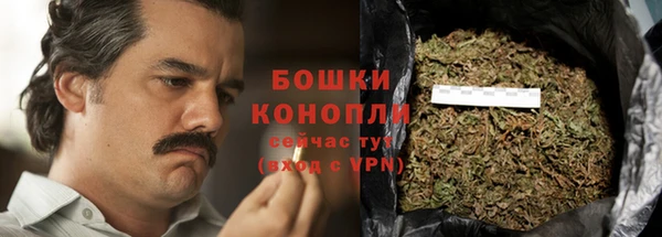 ECSTASY Бородино