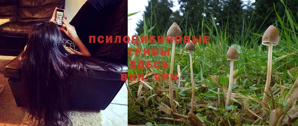 PSILOCYBIN Бронницы