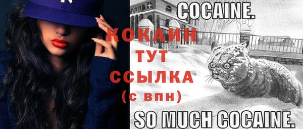 PSILOCYBIN Бронницы
