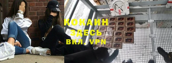 ECSTASY Бородино
