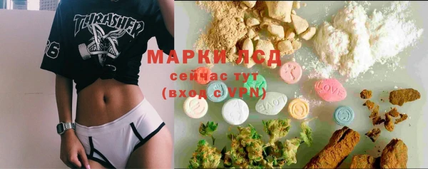 ECSTASY Бородино