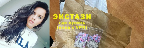 ECSTASY Бородино