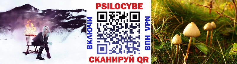 МЕГА сайт  что такое   Далматово  Галлюциногенные грибы Magic Shrooms 