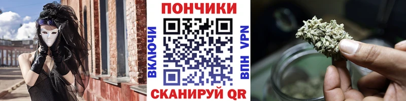 МАРИХУАНА сатива  Далматово 